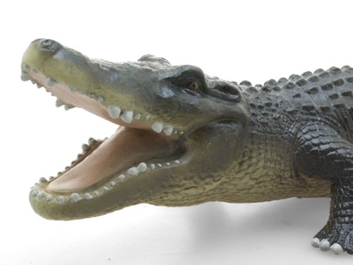 American Alligator Vinyl Model FA-306 Realistic Animal Figure Authentic details_5