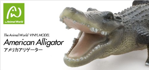 American Alligator Vinyl Model FA-306 Realistic Animal Figure Authentic details_6