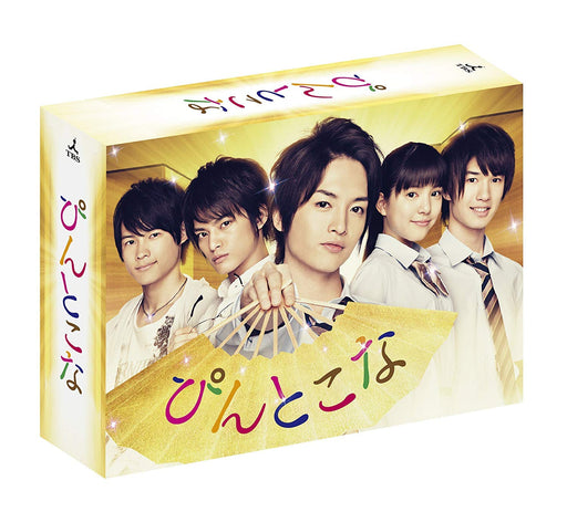 PINTOKONA DVD-BOX 8-disc Standard Edition AVBF-74057 Japanese Youth Drama NEW_1