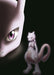 POKEMON BEST WISHES! SHINSOKU NO GENESECT MEWTWO KAKUSEI MEWTWO PACK SSBX-2554_1