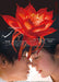 Shanidar's Flower Special Edition [Blu-ray Disc] TCBD-0293 Japanese Movie NEW_1