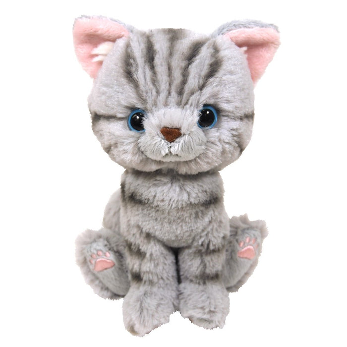 Sun Lemon Kitten Plush Doll American Shorthair Gray 15x17.5x6.8cm ‎P-7521 NEW_1