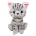 Sun Lemon Kitten Plush Doll American Shorthair Gray 15x17.5x6.8cm ‎P-7521 NEW_1