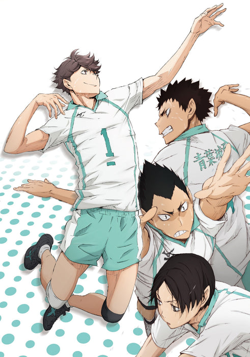 Haikyu!! vol.8 [DVD+CD] First Limited Edition TDV-24368D Volley Ball Animation_2