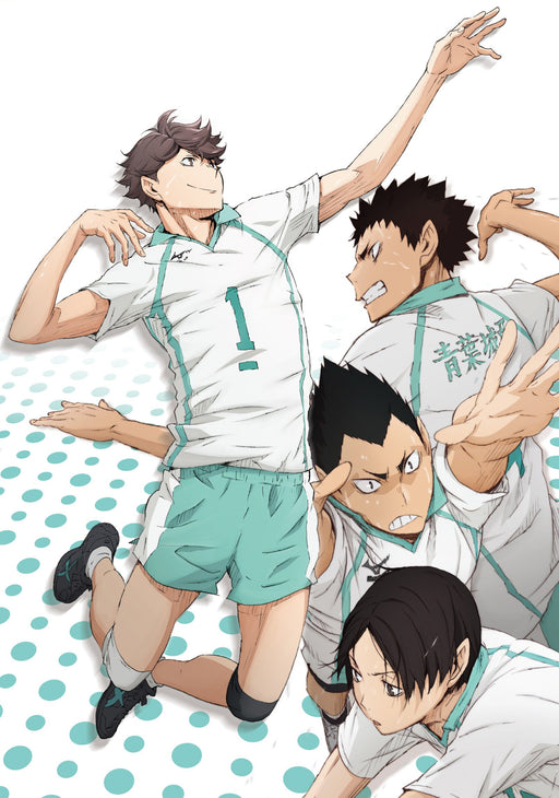 Haikyu!! vol.8 [DVD+CD] First Limited Edition TDV-24368D Volley Ball Animation_2