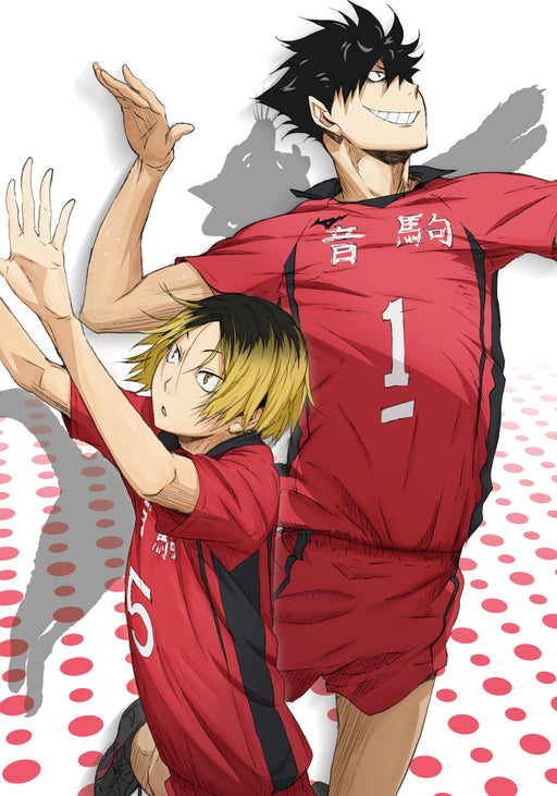 Haikyu!! vol.4 [DVD+CD] First Limited Edition TDV-24364D Japanese Anime NEW_2