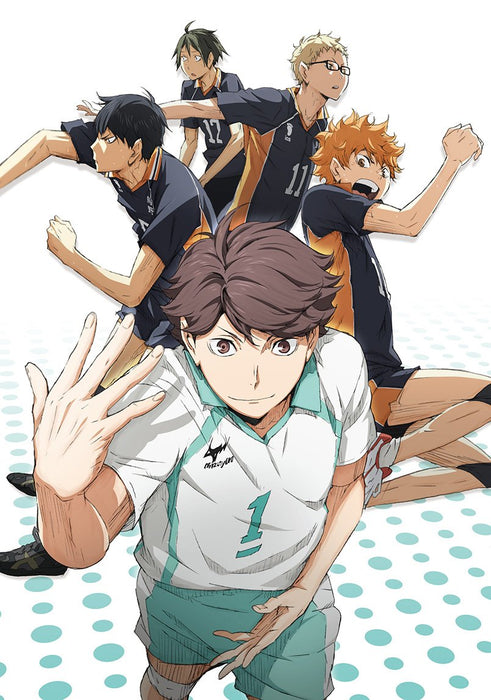 Haikyu!! vol.2 [DVD+CD] First Limited Edition TDV-24362D Japanese Animation NEW_2