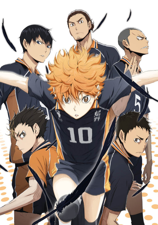 Haikyu!! vol.5 [DVD+CD] First Limited Edition TDV-24365D Japanese Anime NEW_2