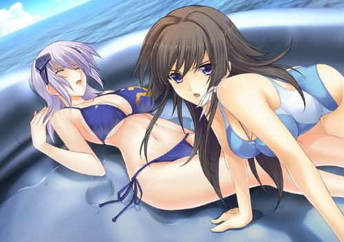 Muv-Luv Alternative Total Eclipse Windows PC Game Software 43173-485161 NEW_4