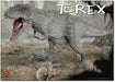 Pegasus Hobby 1/24 Tyrannosaurus REX Tyrant Lizard King Figure 20cm PG9551 NEW_1