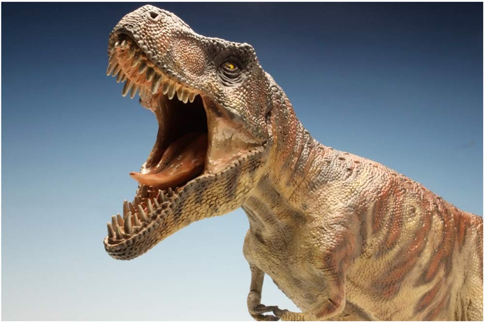 Pegasus Hobby 1/24 Tyrannosaurus REX Tyrant Lizard King Figure 20cm PG9551 NEW_4