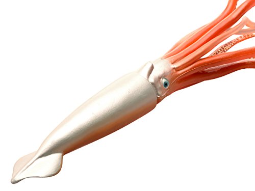 Favorite Giant squid soft model FM-912 L30cmxW6cmxH5cm ATBC-PVC Real Design NEW_2