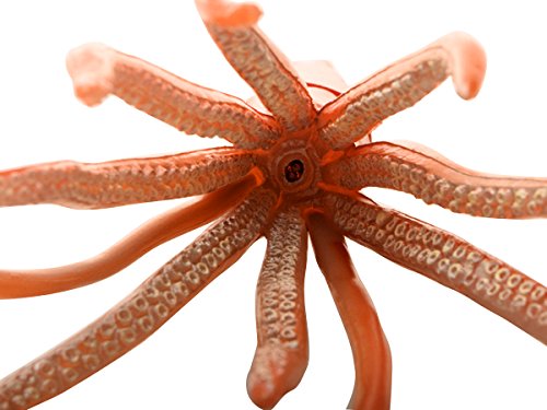 Favorite Giant squid soft model FM-912 L30cmxW6cmxH5cm ATBC-PVC Real Design NEW_3