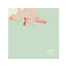 EPIK HIGH SHOE BOX JAPAN EDITION [2CD] AVCY-58224 YG ENTERTAINMENT Hip Hop NEW_1