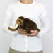 Carolata Mammoth Plush Animal Sitting Series 14x15.5x30cm ‎981375 Real Design_5