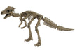 Re-ment Pose skeleton The dinosaur 107 Pachycephalosaurus Figure 4335130497 NEW_1