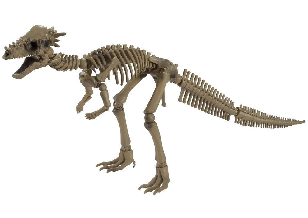 Re-ment Pose skeleton The dinosaur 107 Pachycephalosaurus Figure 4335130497 NEW_1