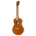 Famous Ukulele FC-1G Concert Size Japanese mahogany Soprano Nylon Strings NEW_1