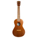 Famous Ukulele FC-1G Concert Size Japanese mahogany Soprano Nylon Strings NEW_2