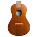 Famous Ukulele FC-1G Concert Size Japanese mahogany Soprano Nylon Strings NEW_3