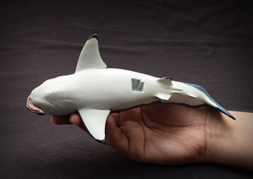 Favorite Megalodon Prehistoric Shark PVC Soft Figure FP-007 L20.7xW10.5xH15.3cm_7