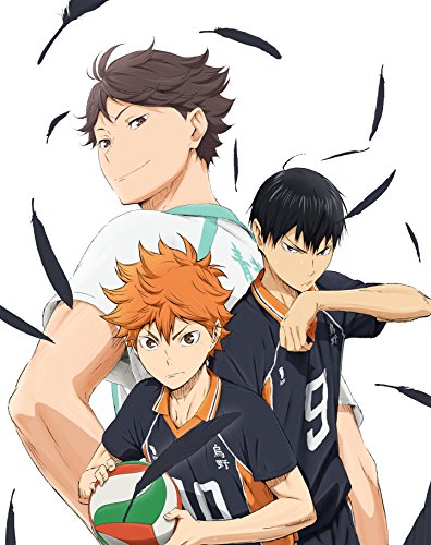 [Blu-ray] Haikyu Second Season Vol.1 First Press Limited Edition TBR-25451D NEW_4