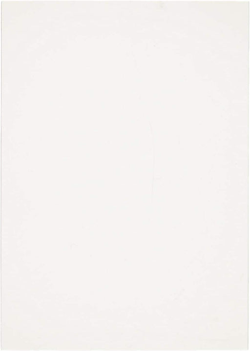 Broccoli Sleeve Protector Matte S size BSP-04 H65.0xW91.5mm 80 pc Made in Japan_2