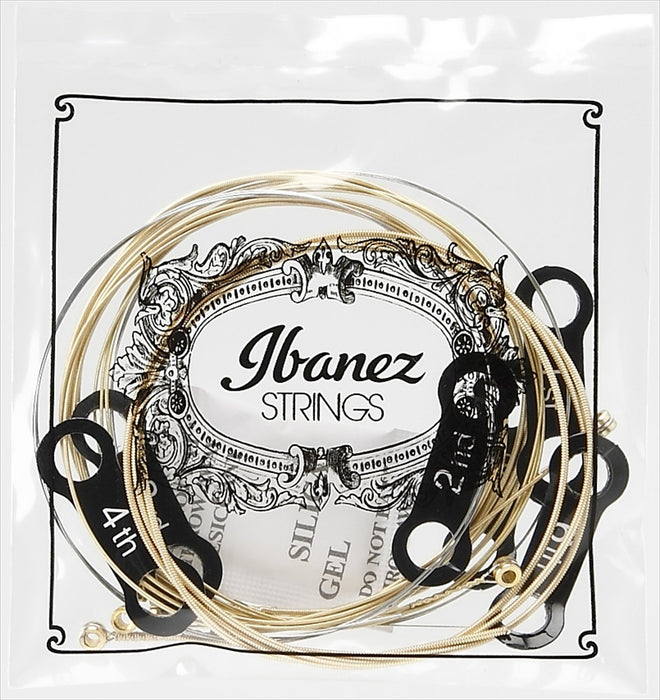 Ibanez Acoustic Guitar 80/20 Bronze EWP dedicated coated Nickel string IPCS6C_3