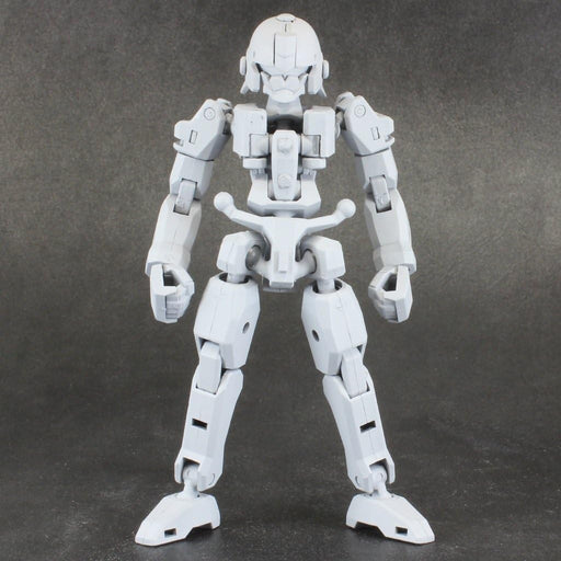 Plum non-scale Pla-Act Option Series 06 Frame Unit Plastic Model Kit JAN168418_2