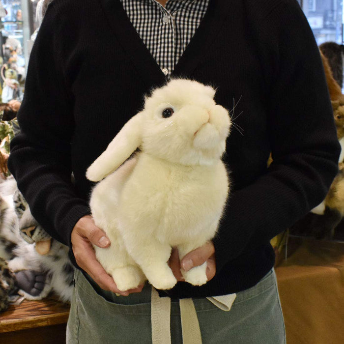 Canal HANSA BH7024 Lop Ear Bunny 35 Realistic Design Plush Doll Acrylic NEW_8