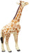 Takara Tomy Ania AS-12 Reticulated Giraffe Baby Action Figure ‎871057 Realistic_2