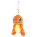 Pokemon ALL STAR COLLECTION Mascot Keychain Charmander W7xD9xH11cm PM02 NEW_1