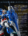 RG 1/144 00 Gundam Seven Sword Gunpla EXPO 2016 Winter Premium Bandai Limited_2