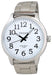 CREPHA Wrist Watch Telva TE-AM014-WTS Men's Silver Stainless Steel Band Case NEW_1
