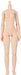 Obitsu Doll 24BD-F02N-M 24cm Obitsu Body Bust M New Type Natural from Japan_1