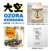 Japan Kendama Association Certified Competition Kendama Ozora Single Color Red_2