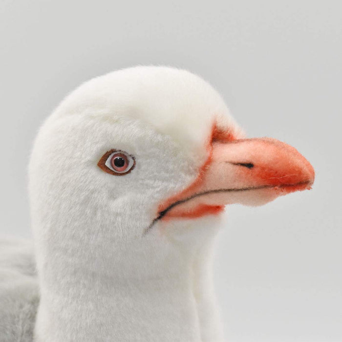 BH7259 HANSA Seagull Realistic Animal Plush Doll Made in Philippines Acrylic NEW_4