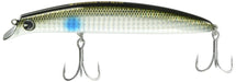 ima sasuke 130 Goriki #GR130-107 Bora sea bass Fishing lure 130mm / 25g NEW_1