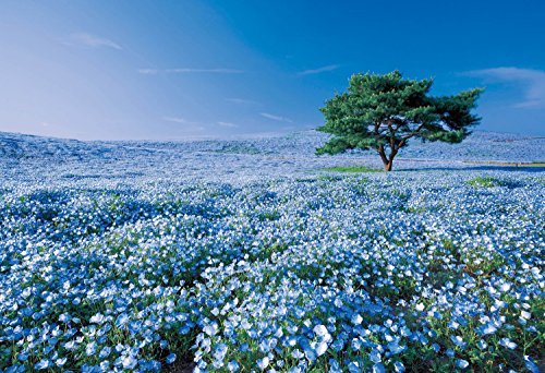 EPOCH 1053pc Jigsaw Puzzle Nemophila Hill Ibaraki Super Small Pieces ‎31-003 NEW_2