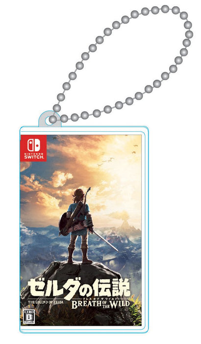 Nintendo Switch dedicated card pocket mini The Legend of Zelda 1/3 HACF-03ZR NEW_1