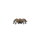 Schleich Wildlife Tarantula Figure 14829 8x7x2cm Real Design Animal Figure NEW_2