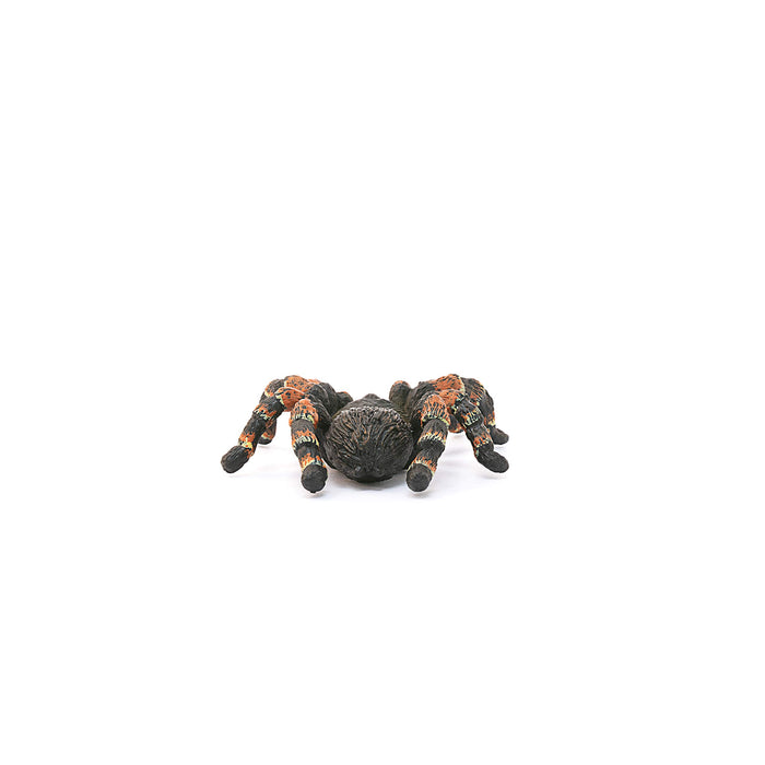 Schleich Wildlife Tarantula Figure 14829 8x7x2cm Real Design Animal Figure NEW_4