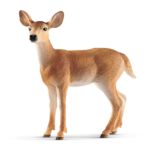 SCHLEICH Wildlife White-tailed Deer Figure 14819 PVC Realistic Design Animal NEW_1