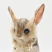 HANSA BH7497 jerboa 19 Real Design Animal Plush Doll for Interior & Collection_4