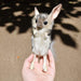 HANSA BH7497 jerboa 19 Real Design Animal Plush Doll for Interior & Collection_8