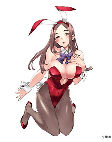 Native Akagi Yoko Bunny Ver. 1/4 scale PVC Figure Illustrated by NishiEda NEW_6