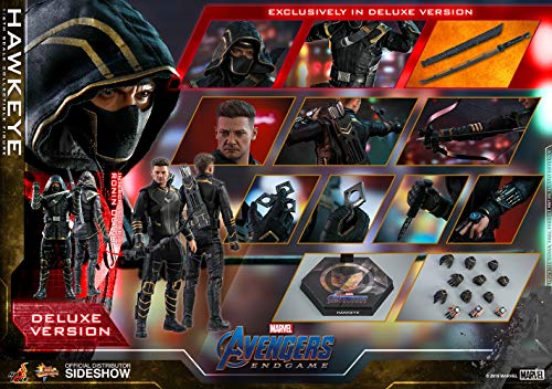 Hot Toys Avengers: Endgame Hawkeye/Ronin Deluxe Ver. 1/6 Figure ‎HT904647 NEW_1