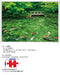 Yanoman 500pc Jigsaw Puzzle Monet's Pond in Gifu, Japan 38x53cm ‎05-1021 NEW_2