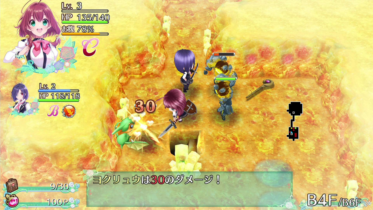 Omega Labyrinth Life Nintendo Switch Game Software HAC-P-AN4RA Role Playing NEW_2