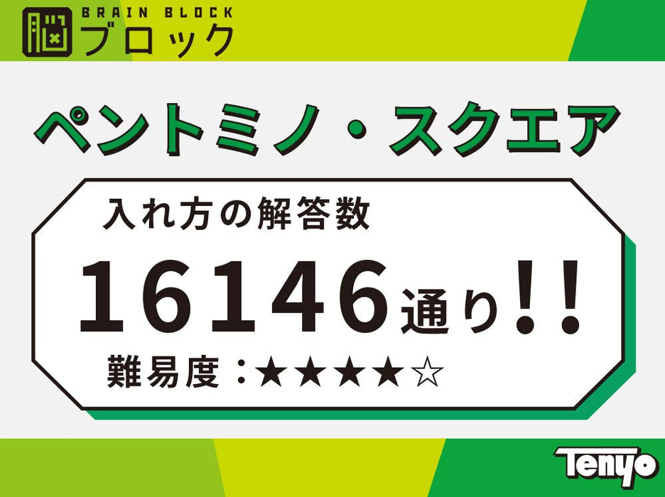 Tenyo Pentomino Square Brain Block TBB-04 Difficulty Level 4/5 Plastic Puzzle_3